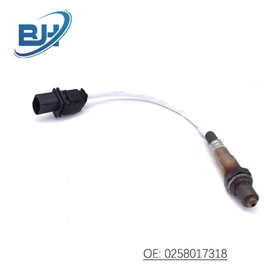 02 Sensor For Ford Focus 2013-2015 0258017318 0258017319